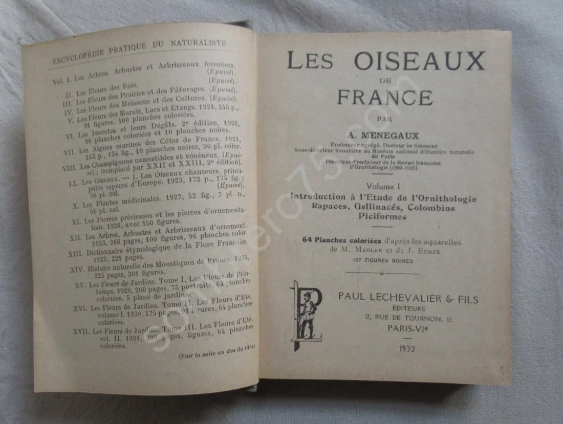 Les oiseaux de France. XXVI - Image 3