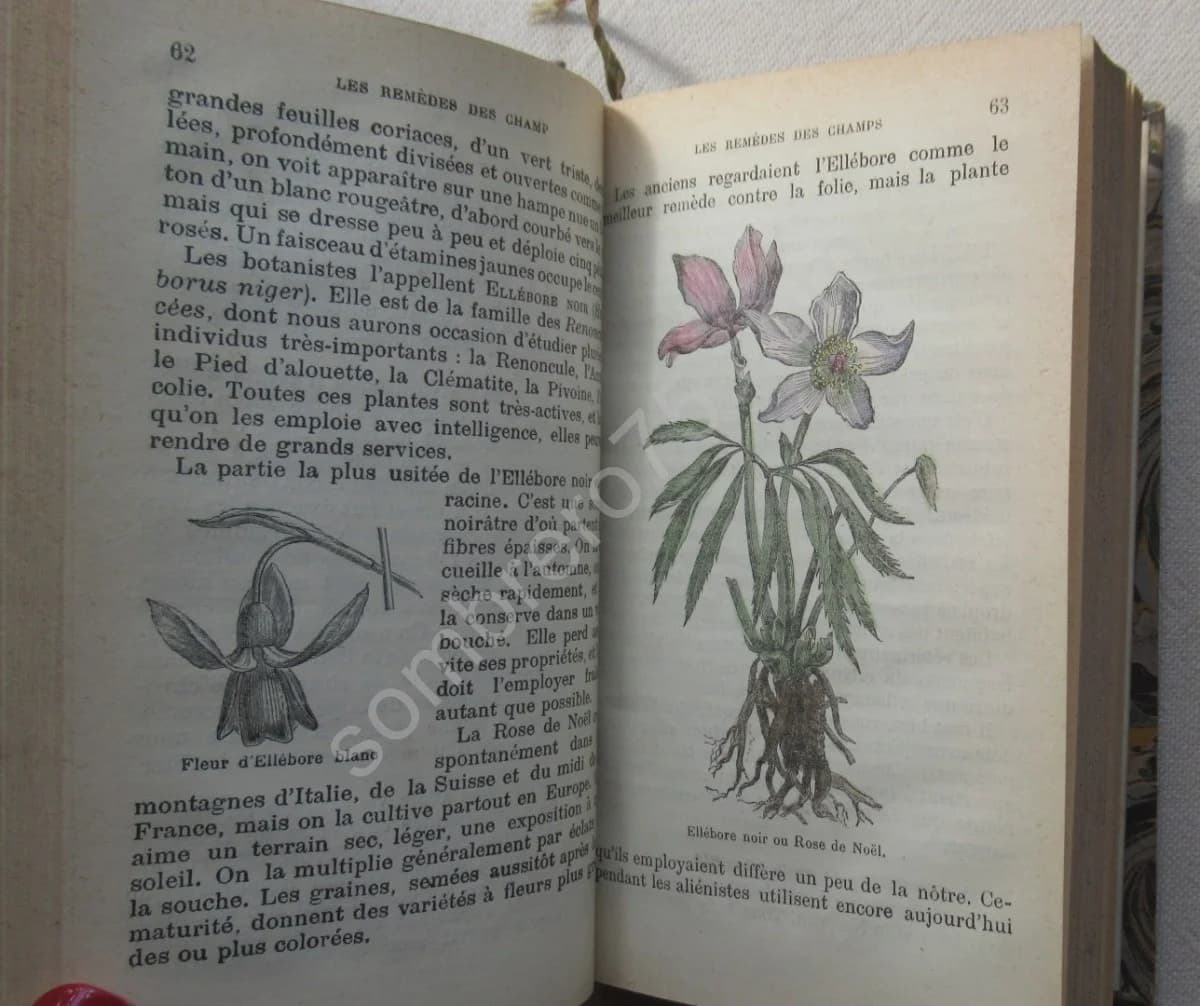 Les Remèdes des Champs. Herborisations pratiques. Complet des 2 parties. Docteur SAFFRAY - Image 3