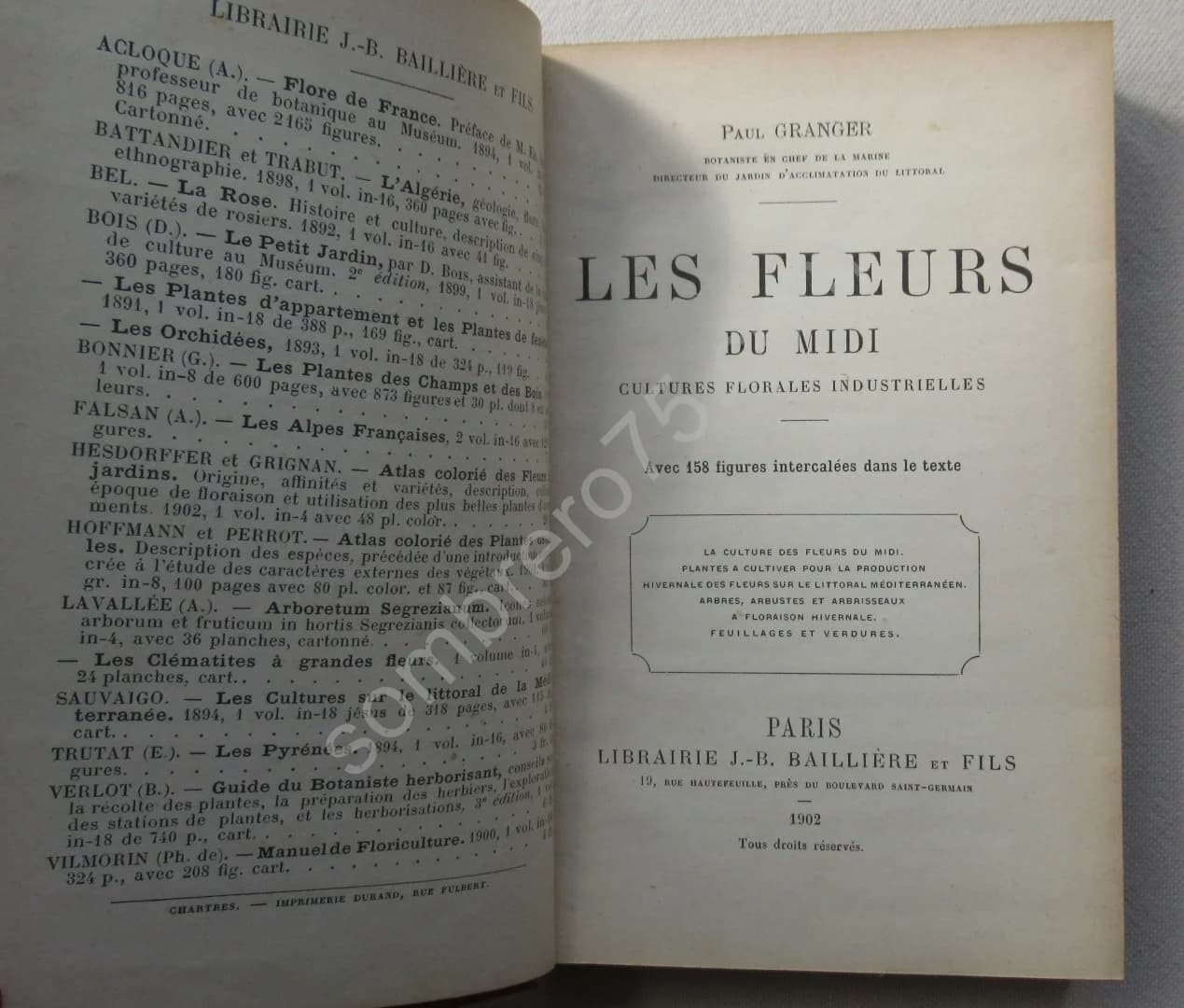 Les Fleurs du Midi - Image 3