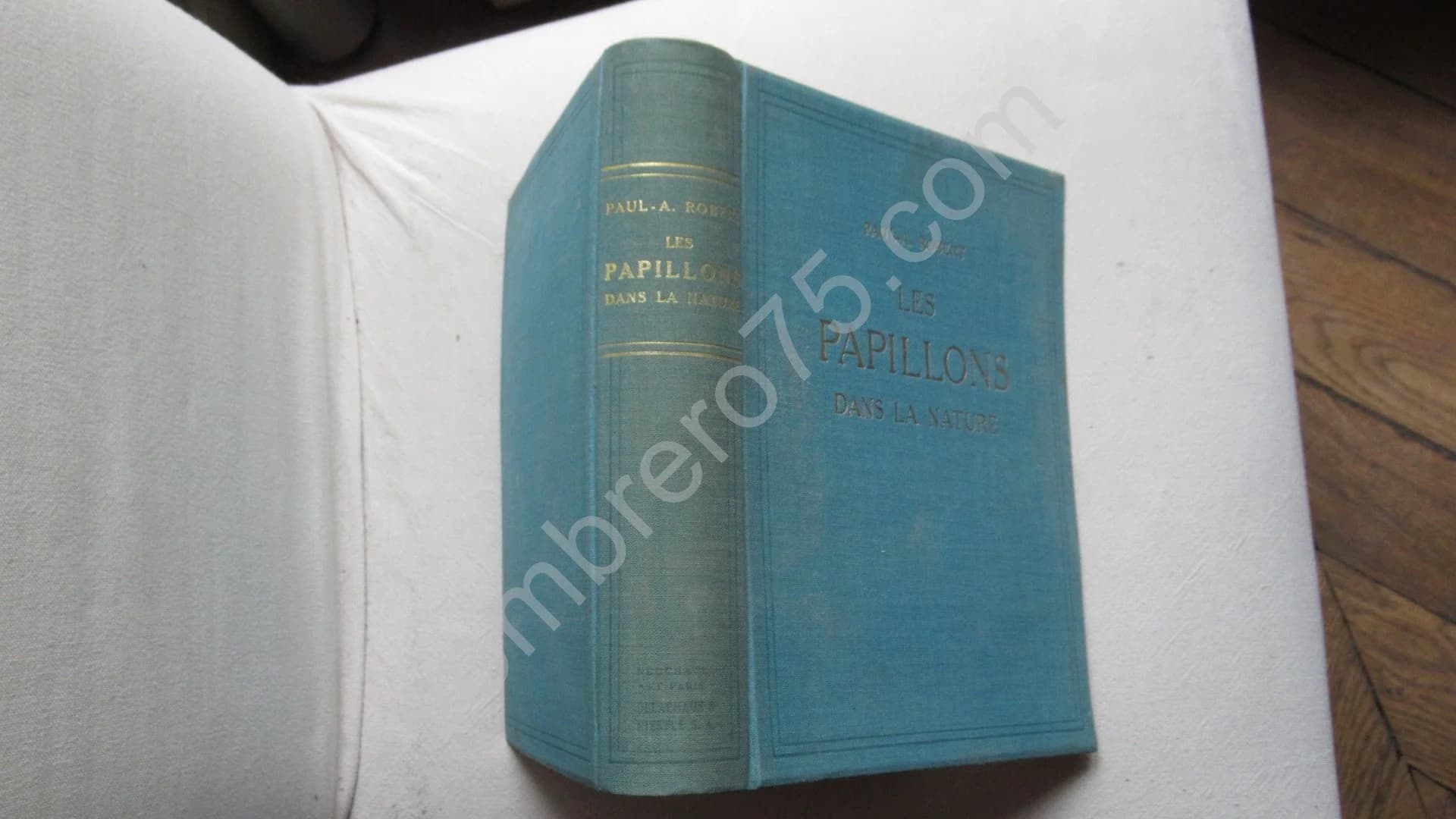 Les Papillons dans la Nature - Image 2