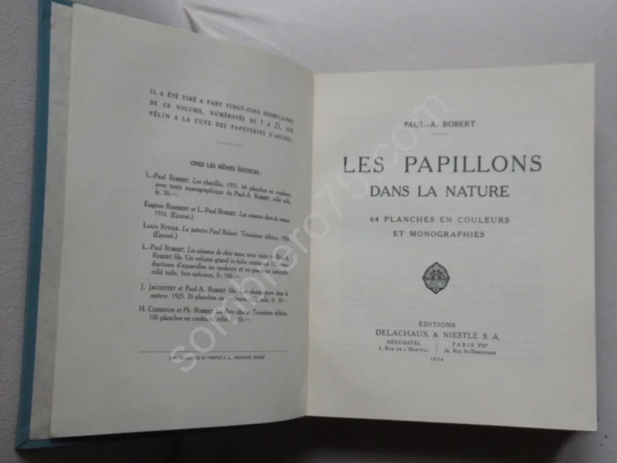 Les Papillons dans la Nature - Image 3