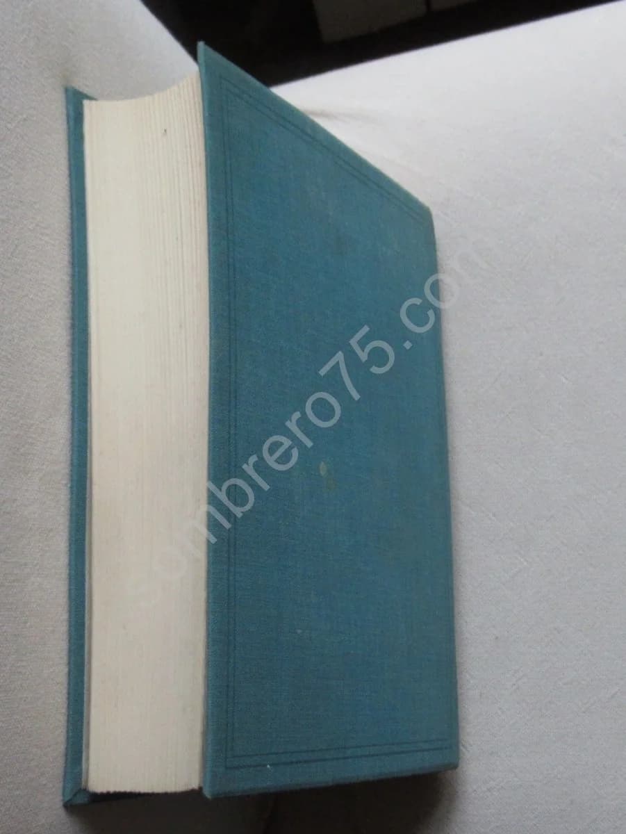 Les Papillons dans la Nature - Image 9