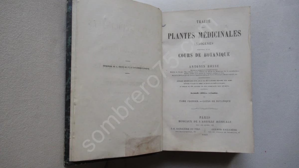 Traité des Plantes Médicinales Indigènes - Image 2