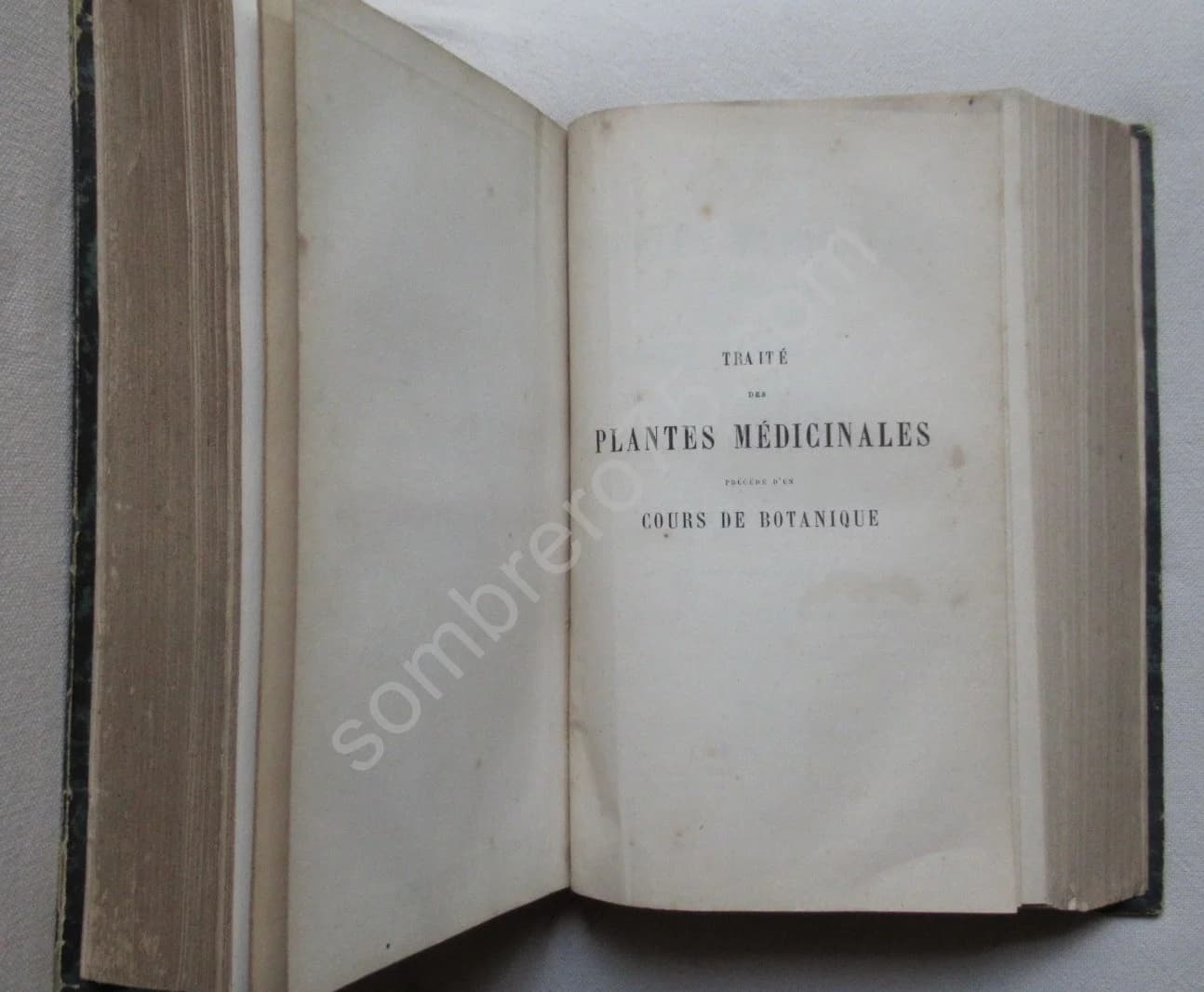 Traité des Plantes Médicinales Indigènes - Image 6