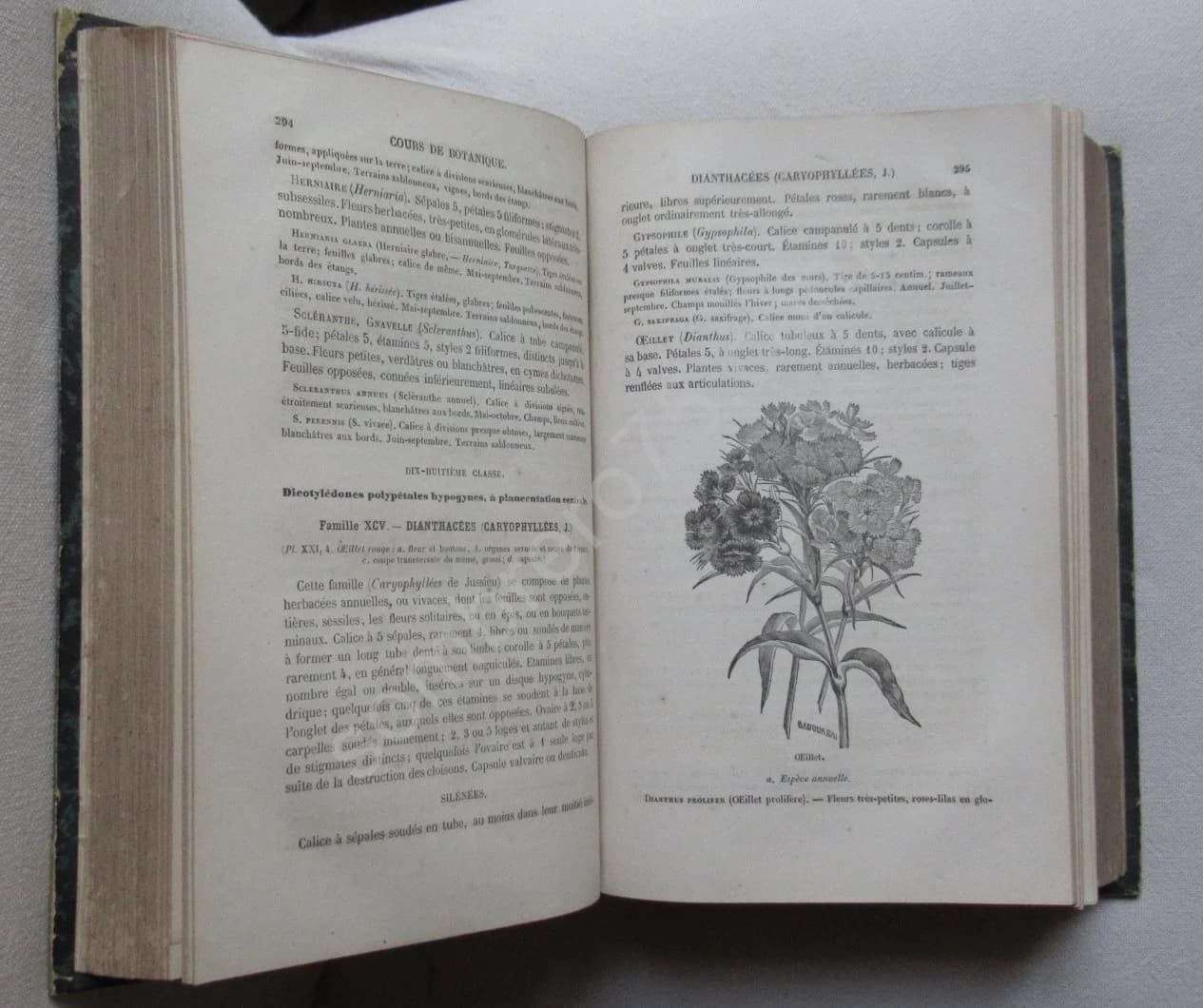 Traité des Plantes Médicinales Indigènes - Image 7