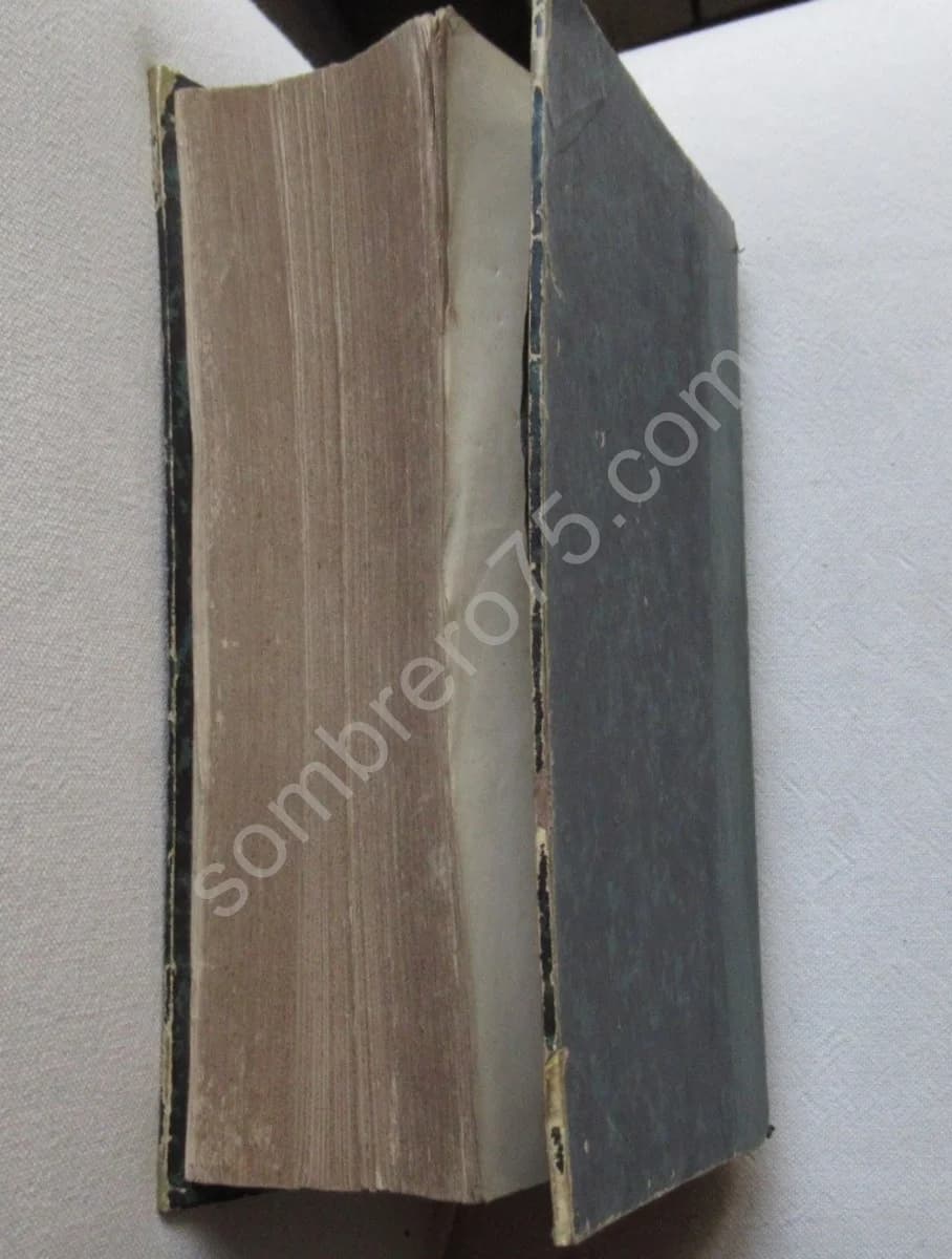 Traité des Plantes Médicinales Indigènes - Image 8