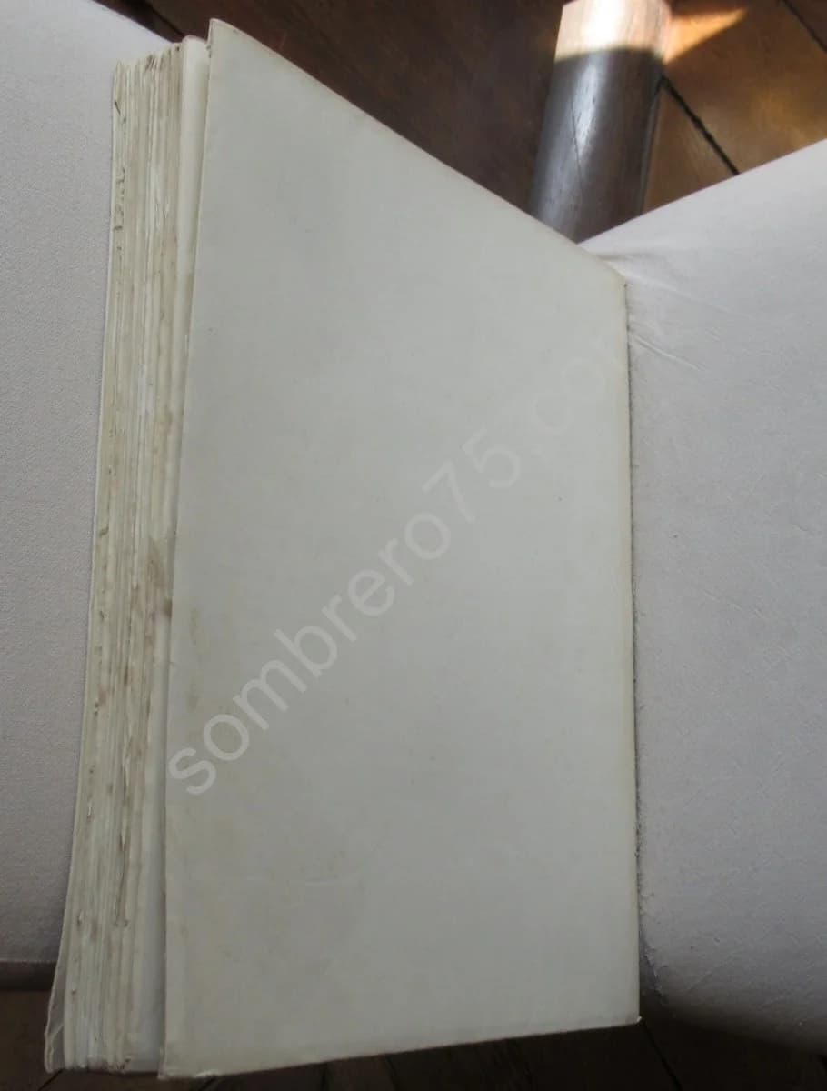 Jeanne d'Arc - Ses Costumes, son Armure - Image 10