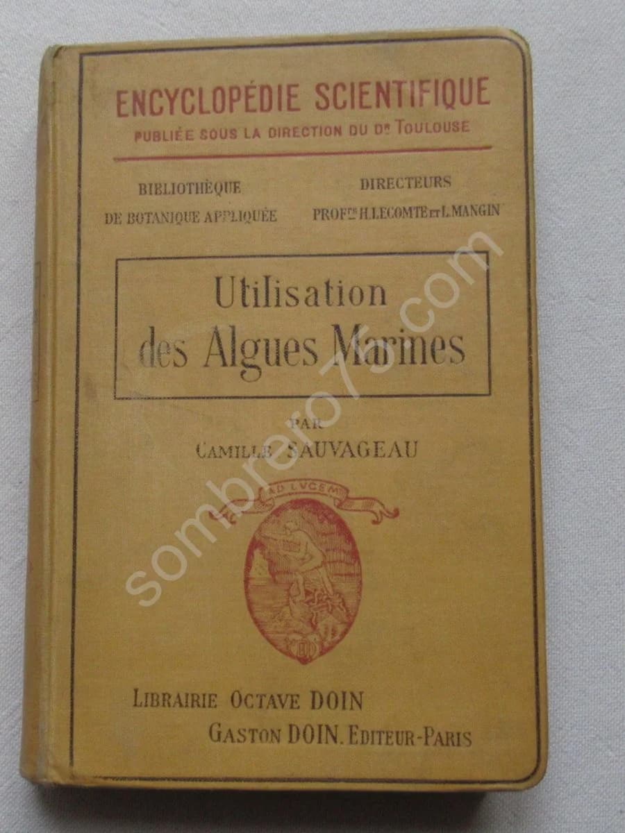 Utilisation des Algues Marines - Image 2