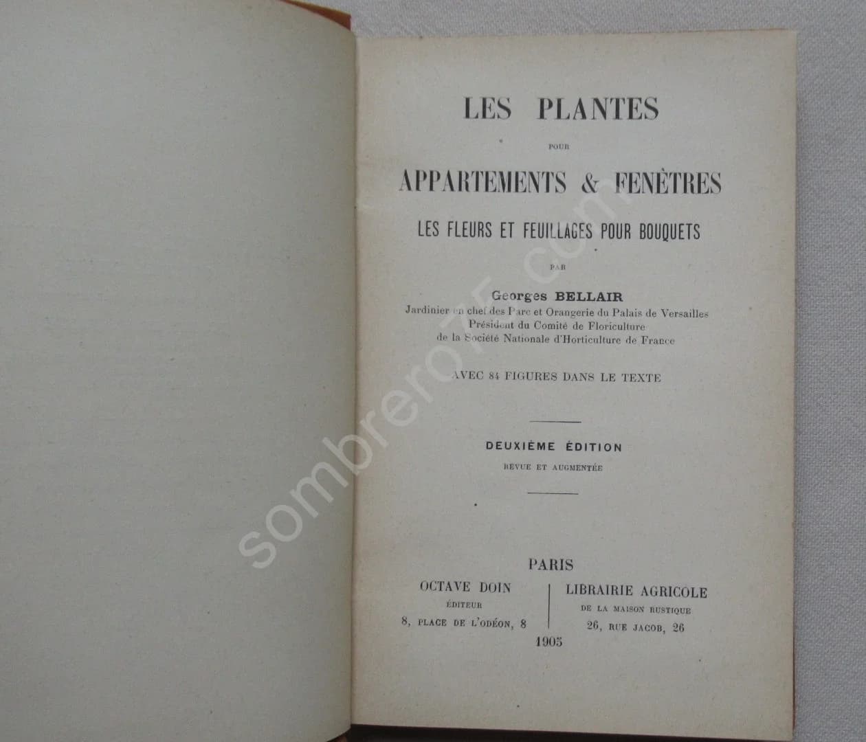 Les Plantes pour appartements et fenêtres. G BELLAIR - Image 2