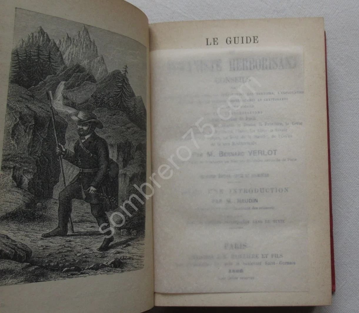 Guide du Botaniste Herborisant. Bernard VERLOT - Image 3