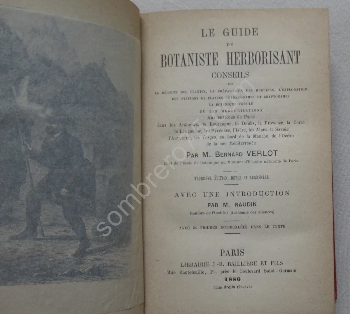 Guide du Botaniste Herborisant. Bernard VERLOT - Image 4