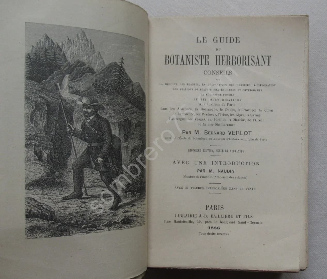 Guide du Botaniste Herborisant - Bernard VERLOT - Image 3