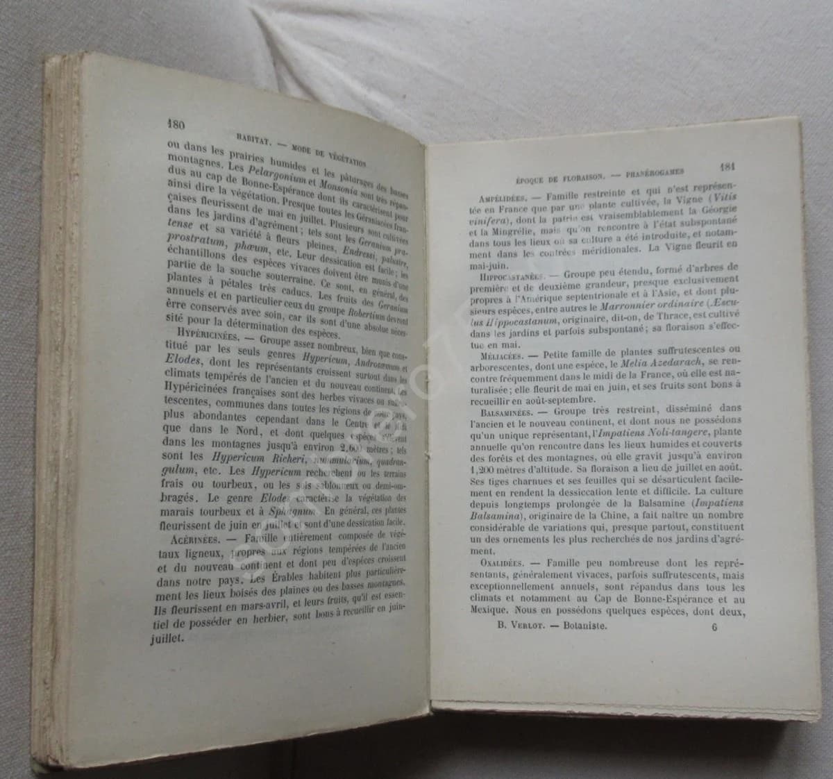 Guide du Botaniste Herborisant - Bernard VERLOT - Image 4