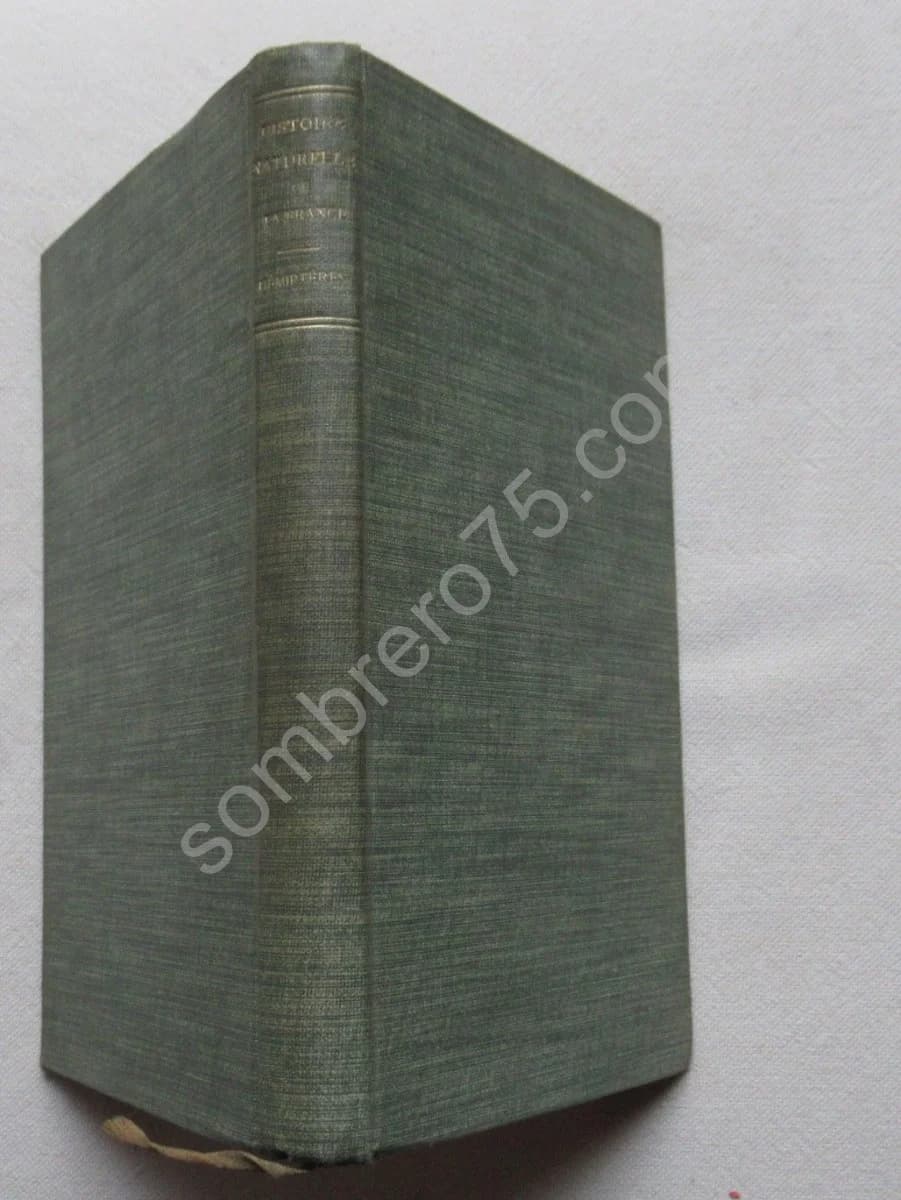 Hémiptères (punaises, cigales, pucerons, cochenilles..)