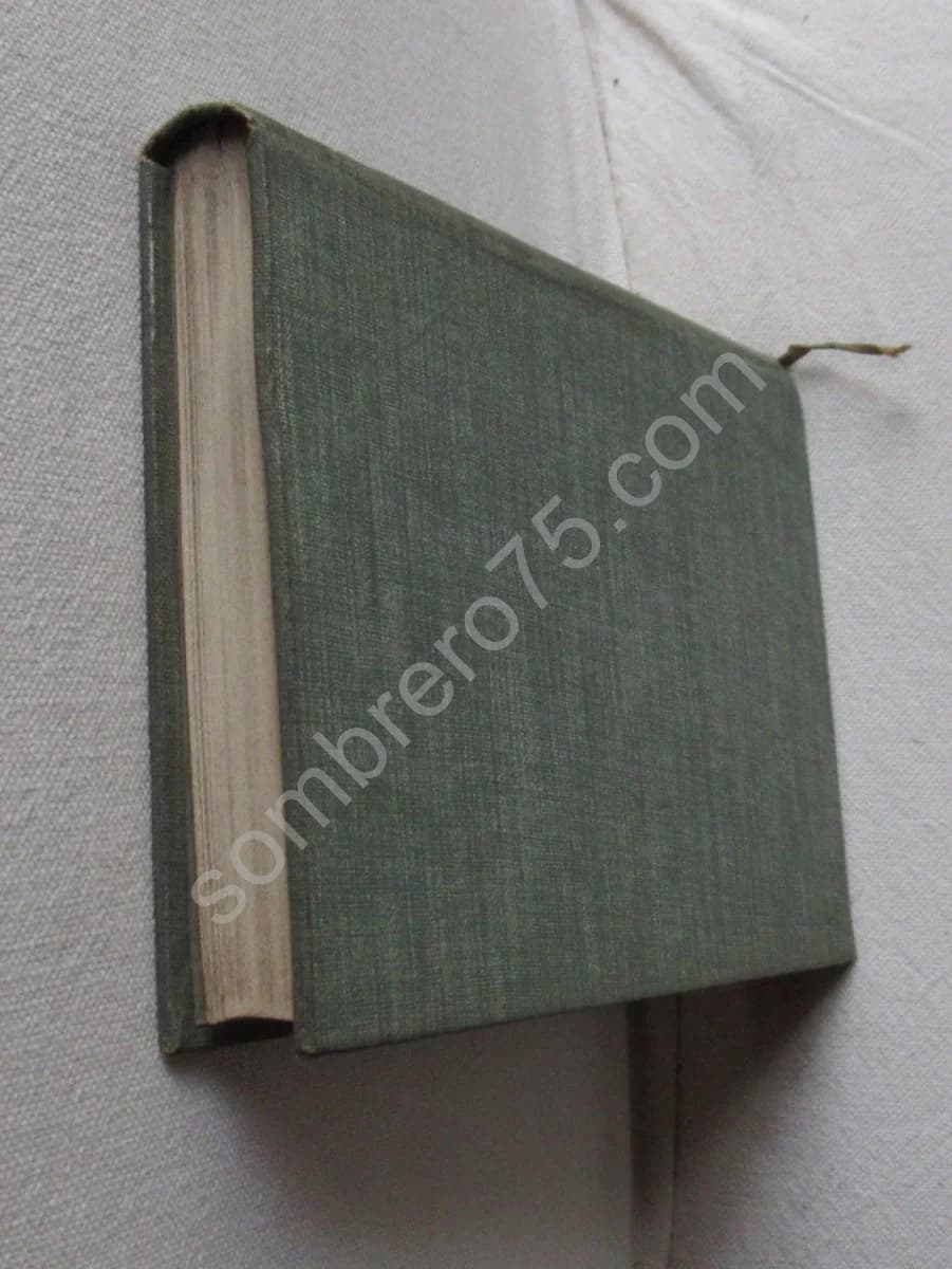 Hémiptères (punaises, cigales, pucerons, cochenilles..) - Image 3