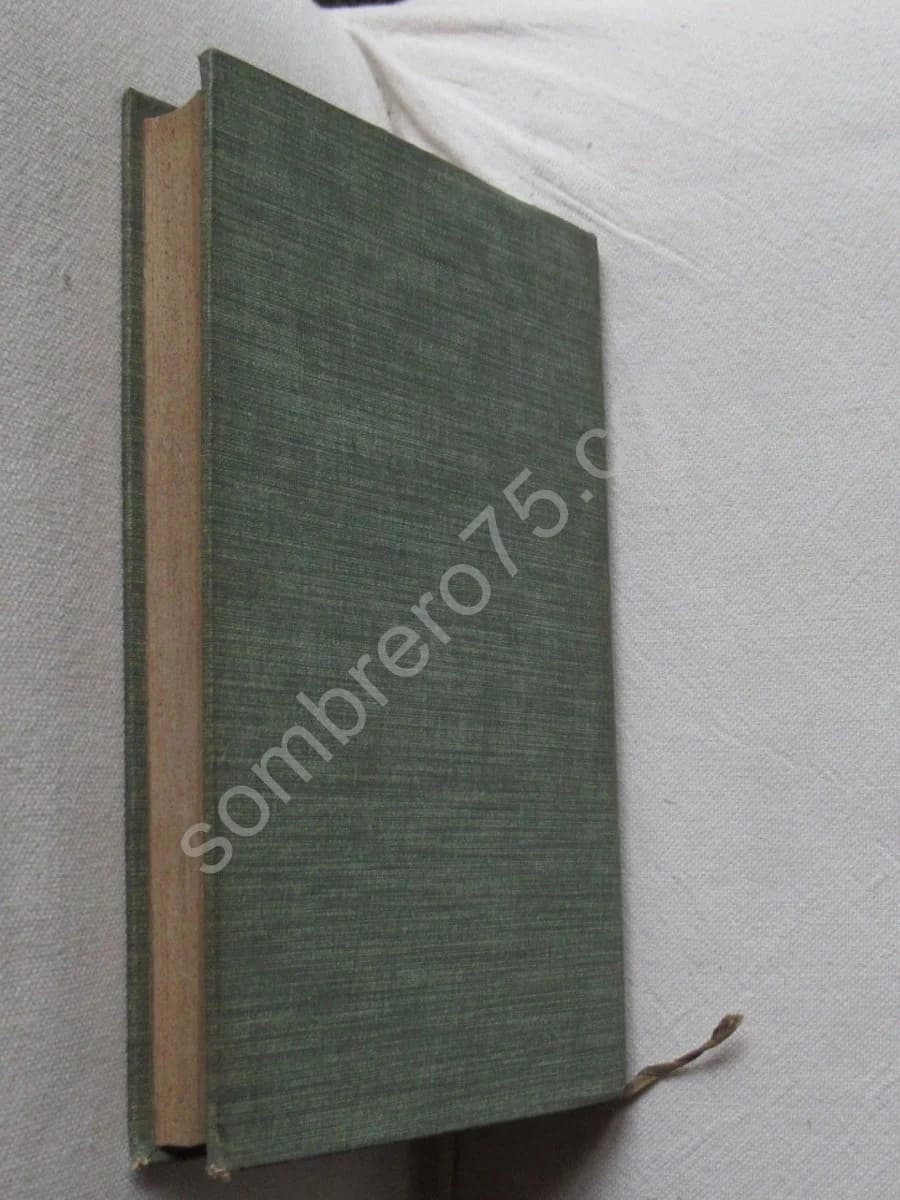 Hémiptères (punaises, cigales, pucerons, cochenilles..) - Image 4