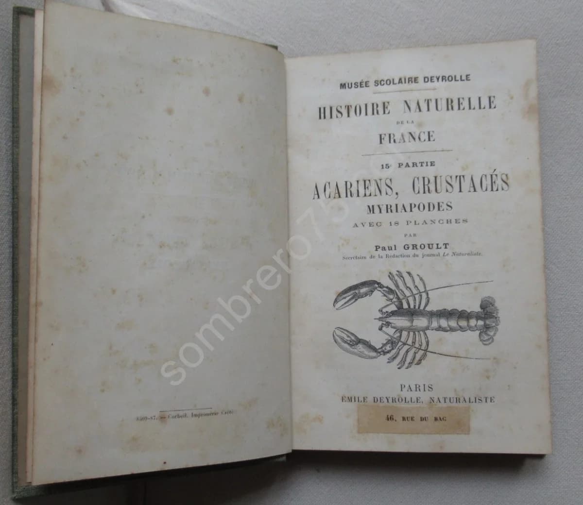 Acariens, crustacés myriapodes - Image 2