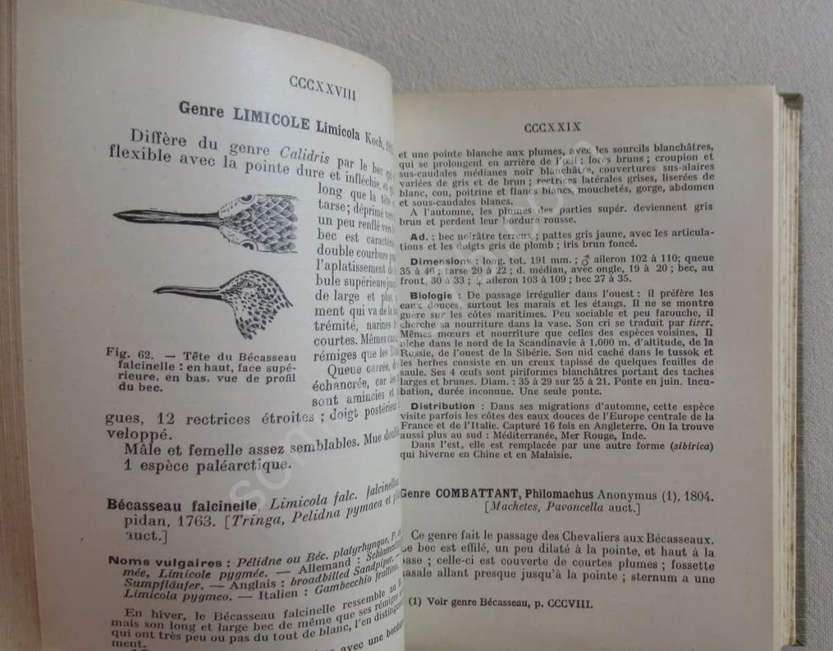 Les Oiseaux de France XXVII - Image 3