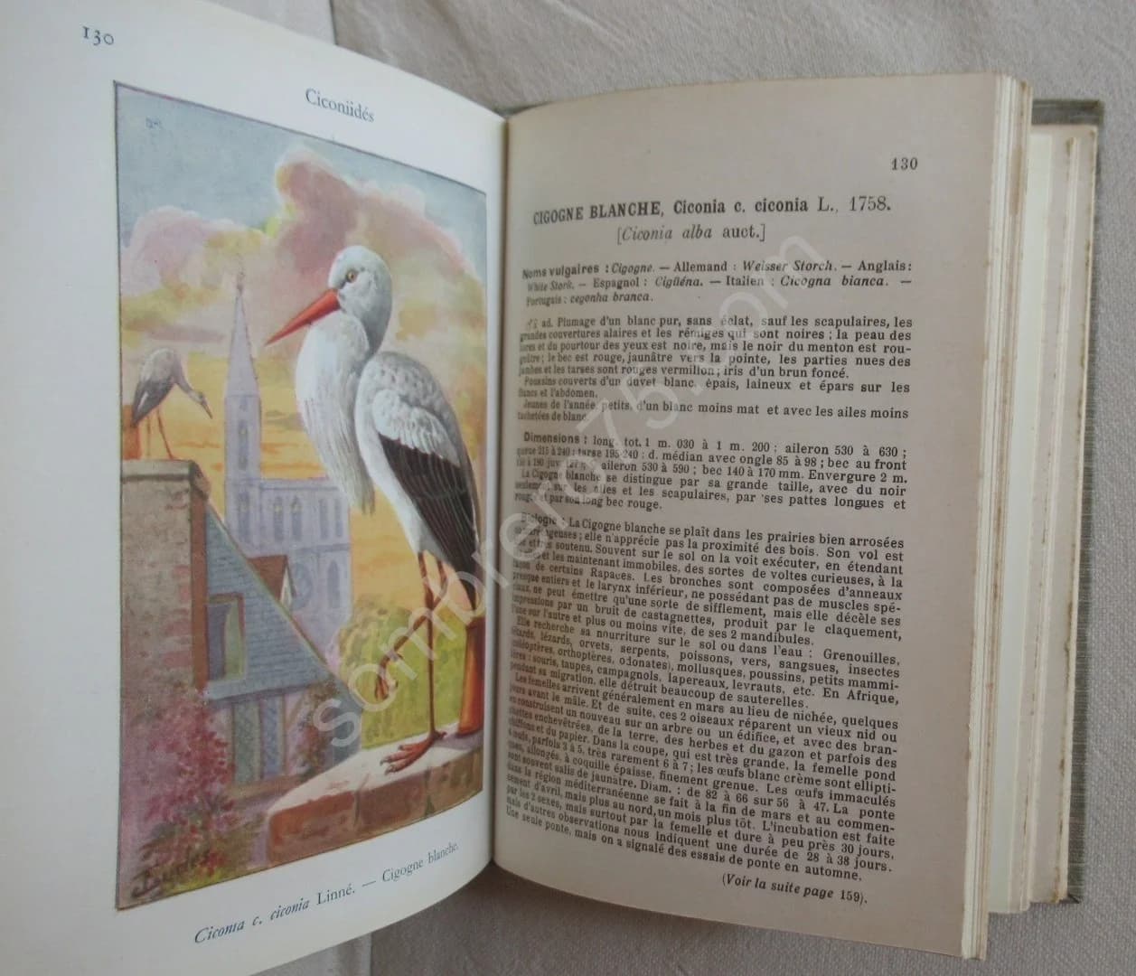 Les Oiseaux de France XXVII - Image 5