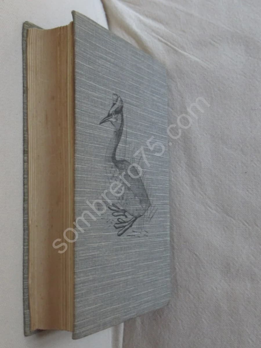 Les Oiseaux de France XXVII - Image 8