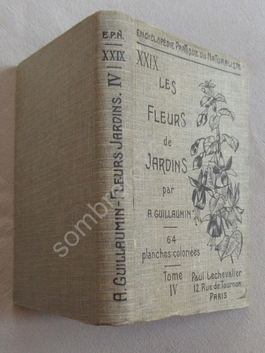 Les Fleurs de Jardins XXIX