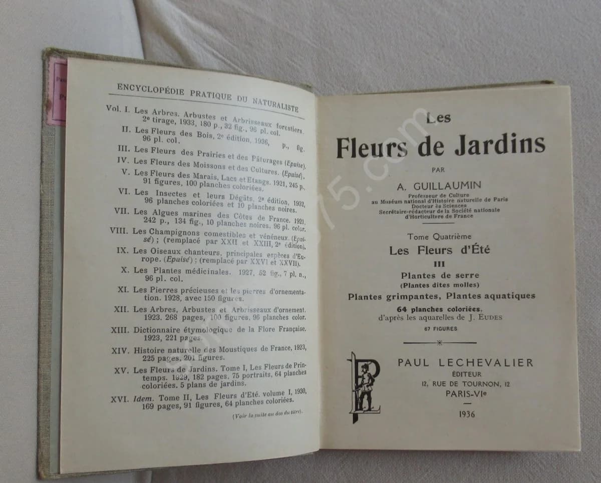 Les Fleurs de Jardins XXIX - Image 2