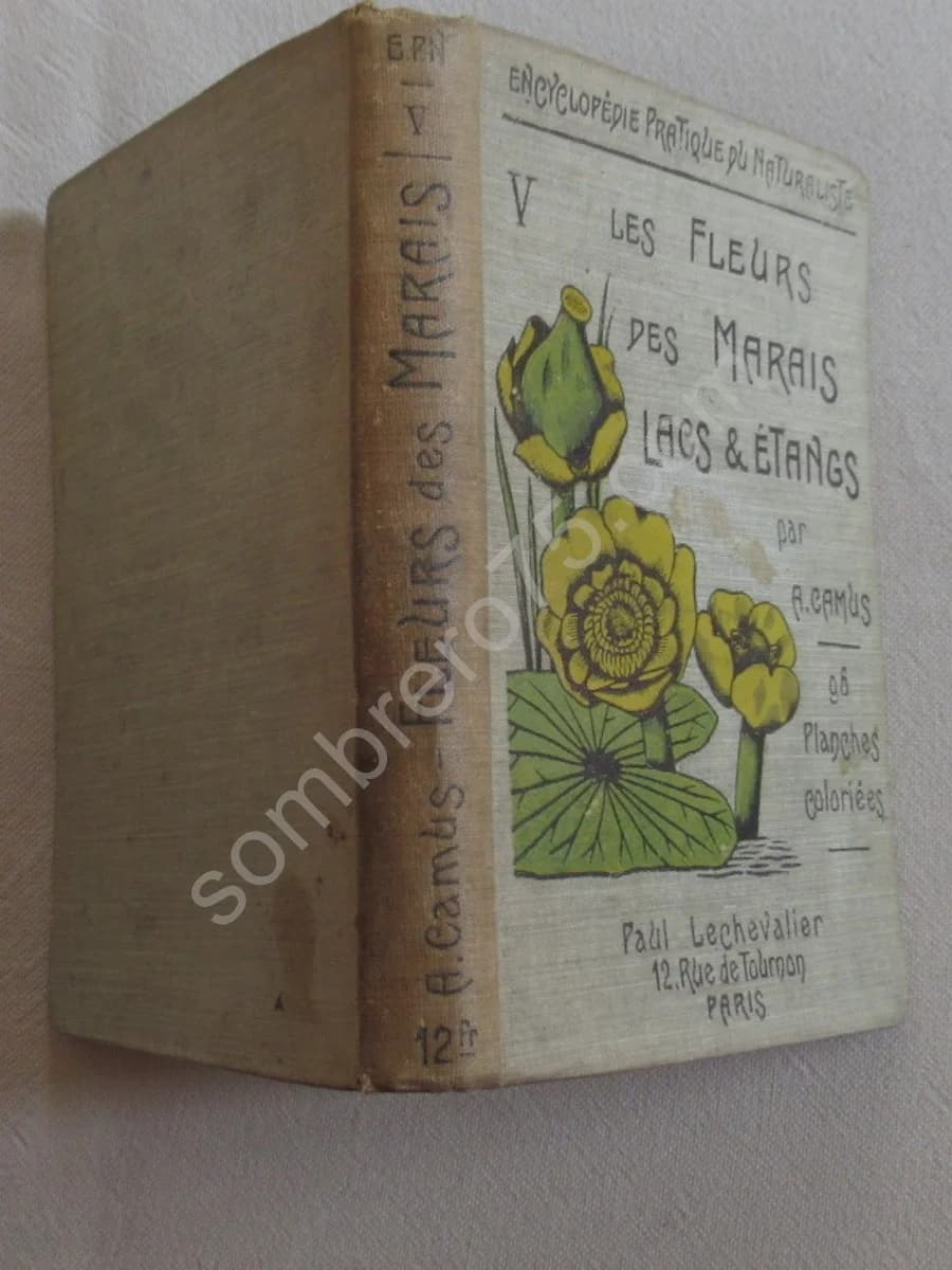 Les Fleurs des Marais, Lacs & Etangs V - Image 2