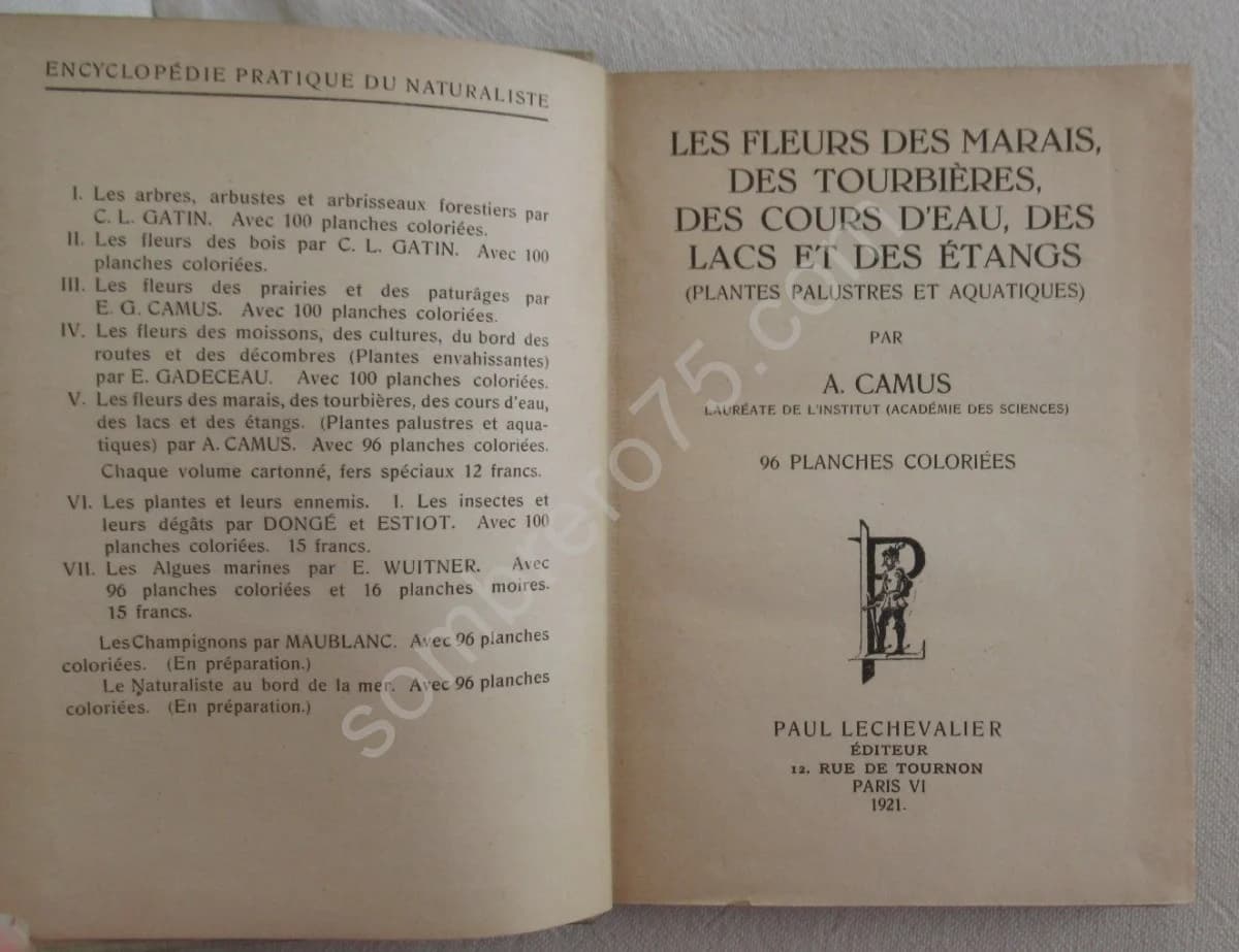 Les Fleurs des Marais, Lacs & Etangs V - Image 3