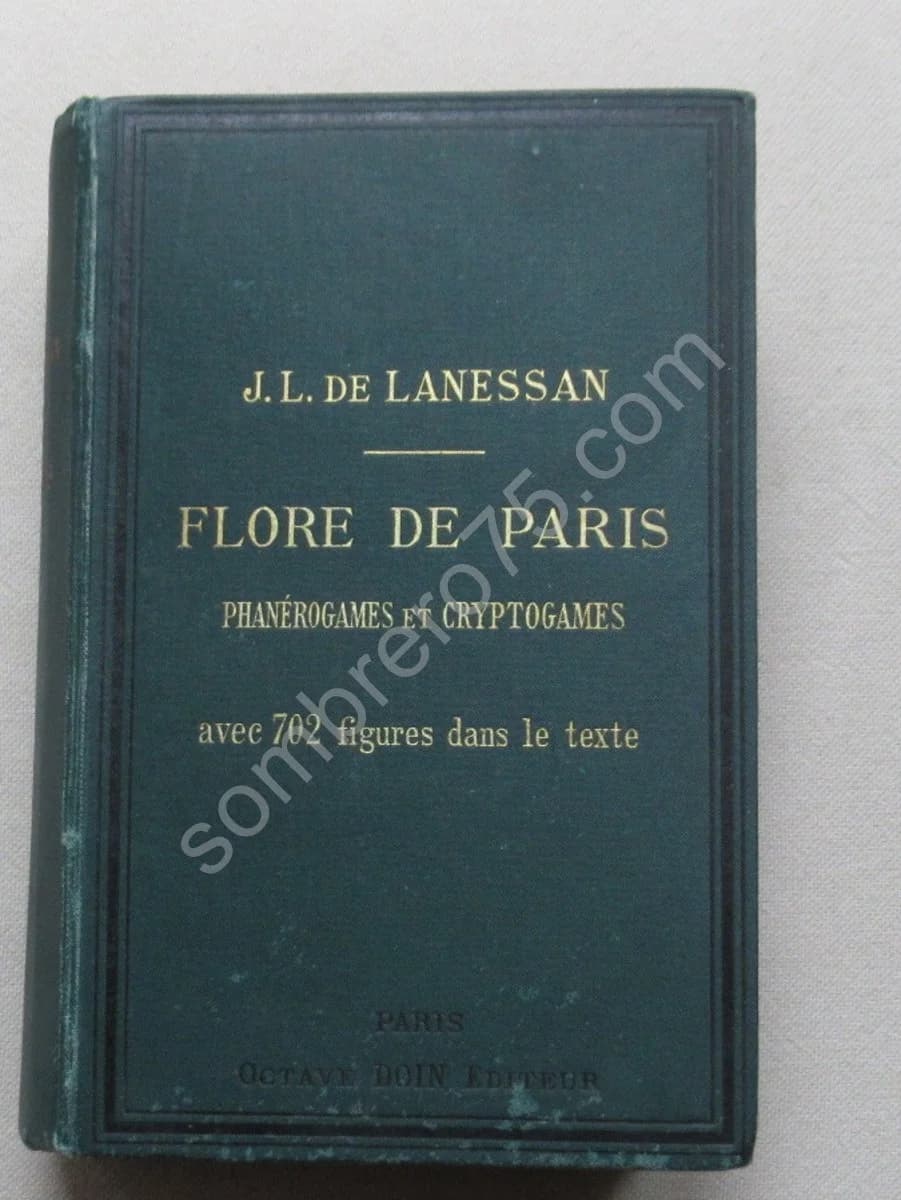 Flore de Paris. Phanérogames et Cryptogames