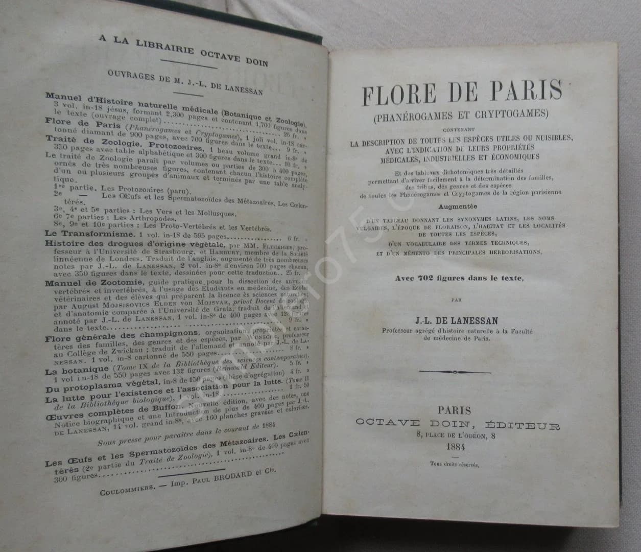 Flore de Paris. Phanérogames et Cryptogames - Image 3