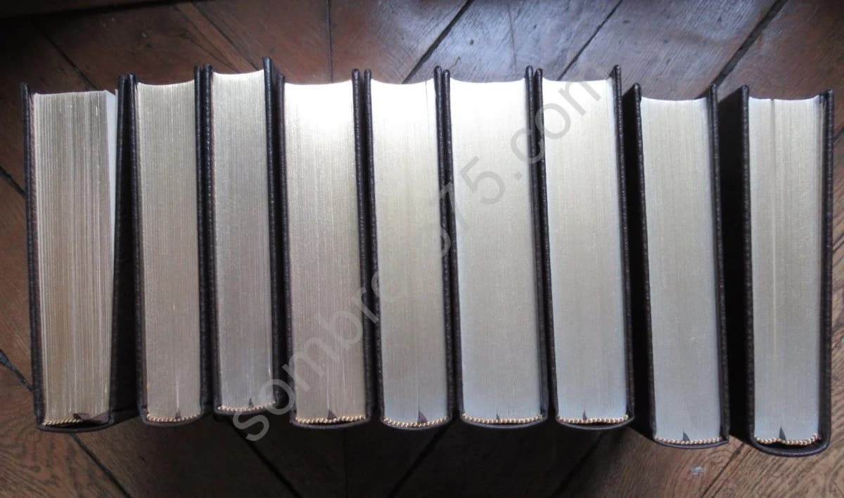 Oeuvres - Céline. Illustrations Moretti. Complet en 9 volumes - Image 3