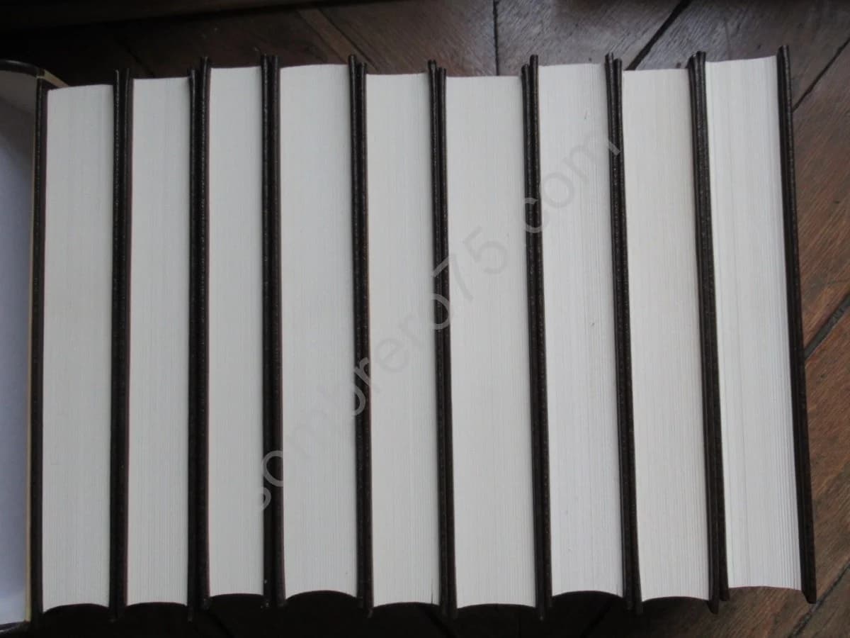 Oeuvres - Céline. Illustrations Moretti. Complet en 9 volumes - Image 4