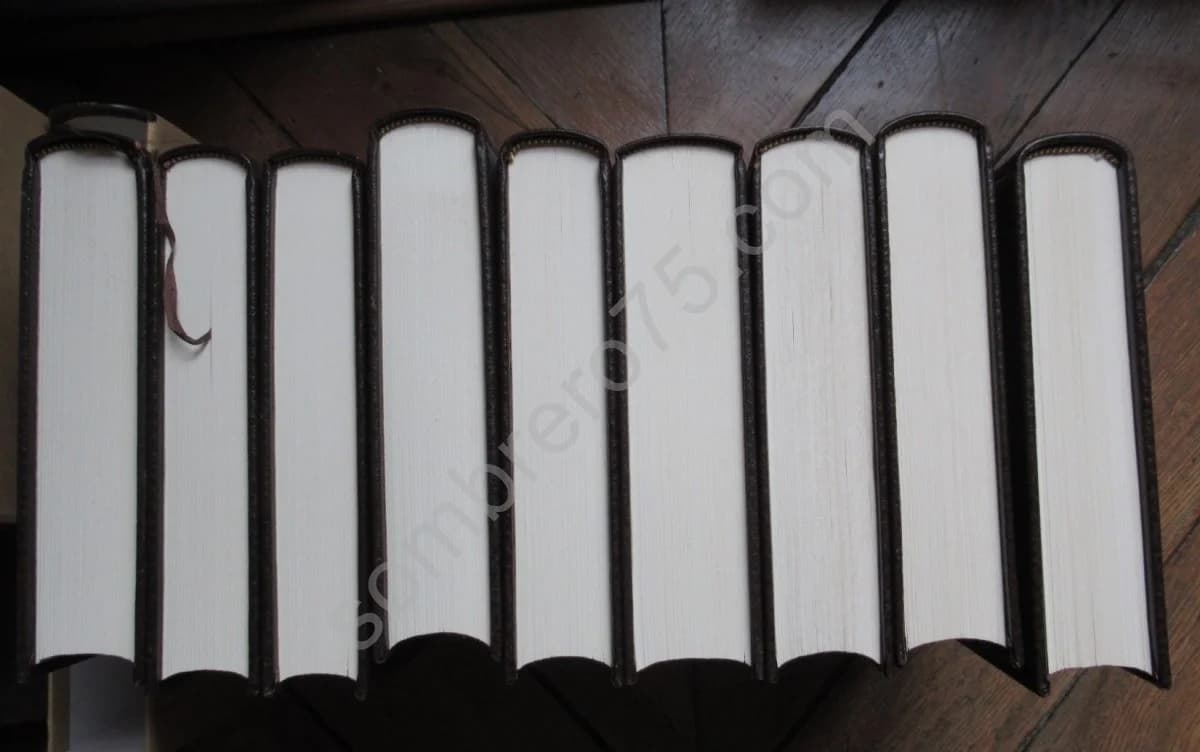 Oeuvres - Céline. Illustrations Moretti. Complet en 9 volumes - Image 5