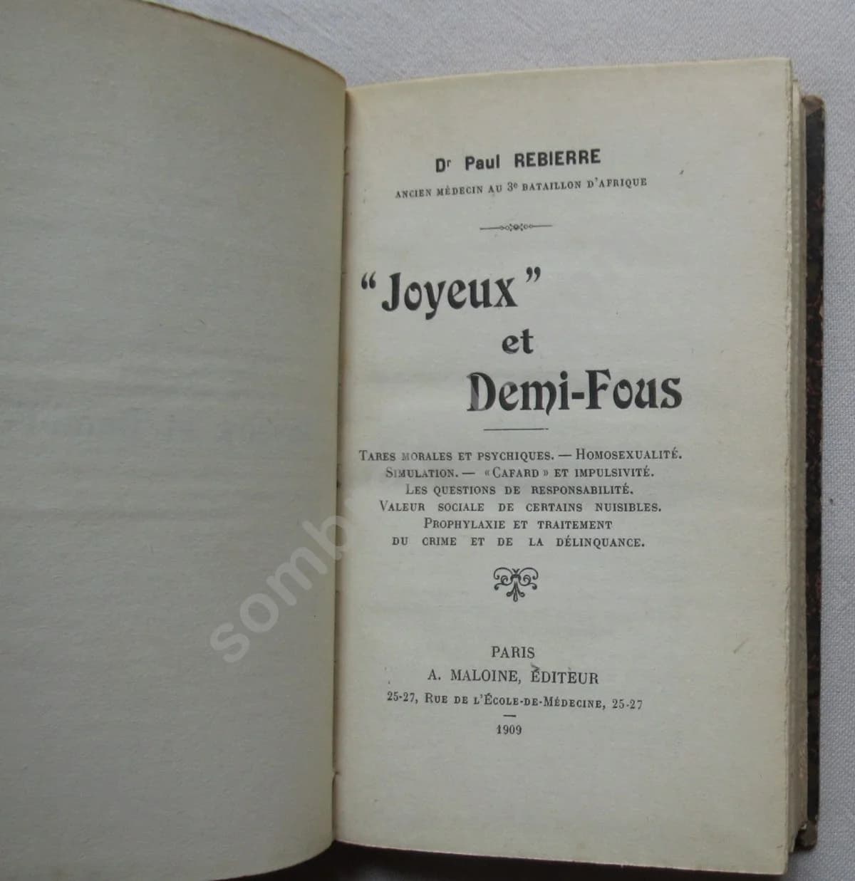 Joyeux et Demi-Foux - Image 3