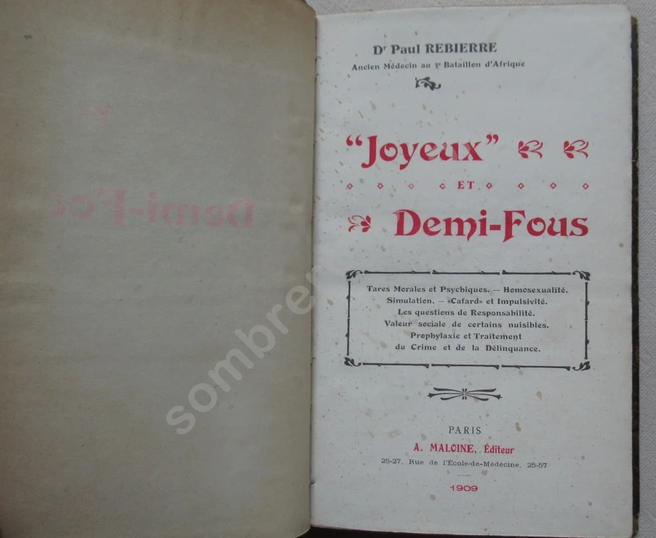 Joyeux et Demi-Foux - Image 4
