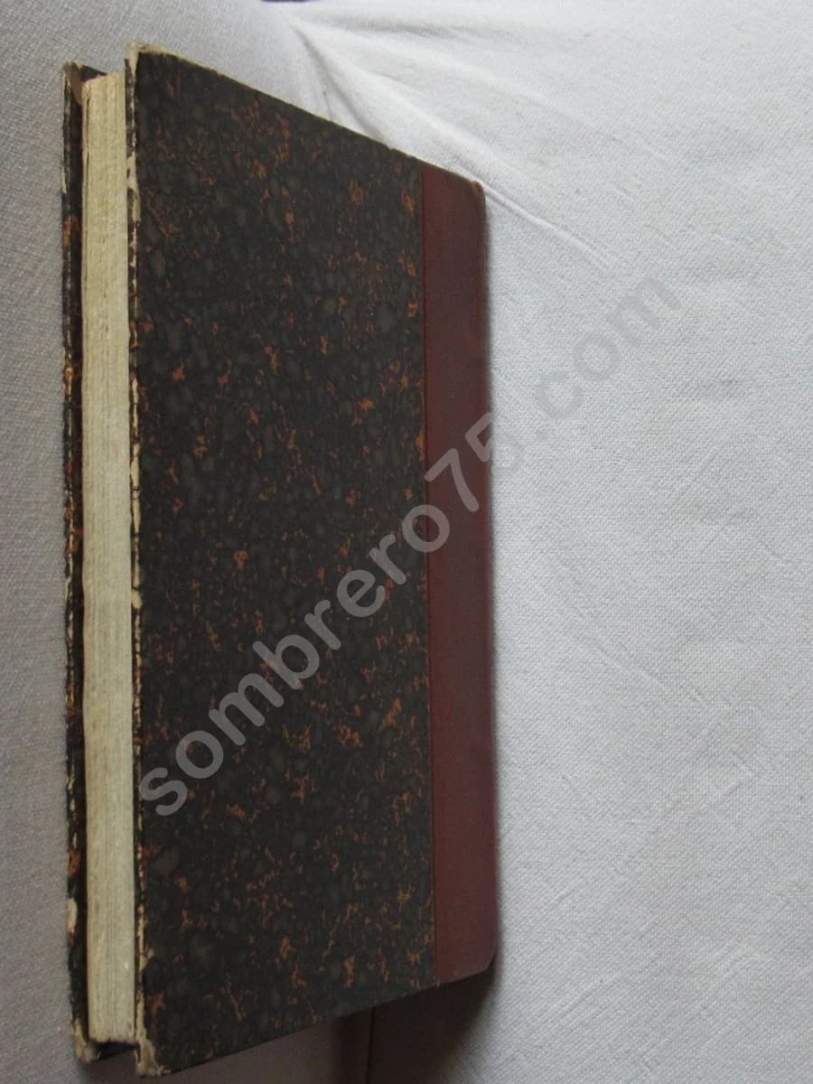 Joyeux et Demi-Foux - Image 5