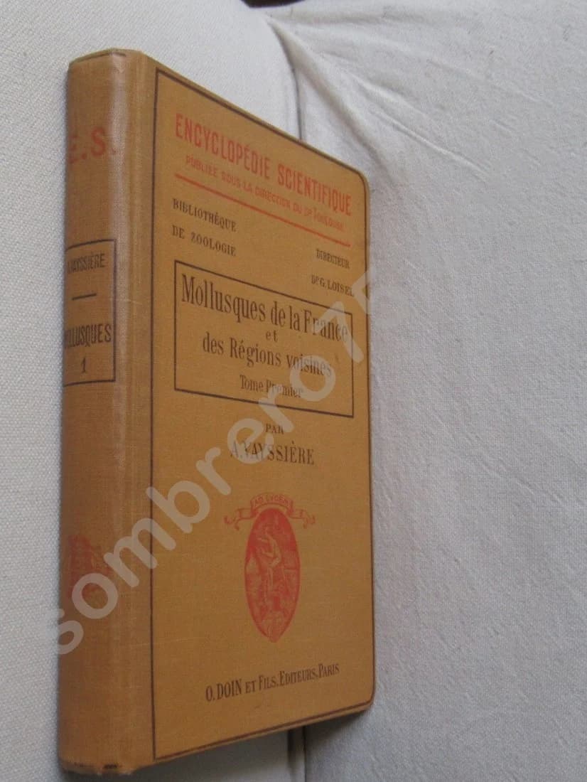 Mollusques de la France et des Régions Voisines - Image 2