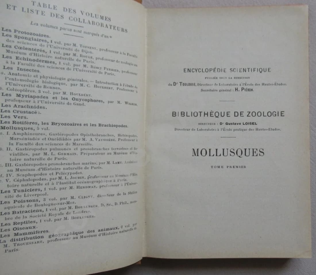 Mollusques de la France et des Régions Voisines - Image 3