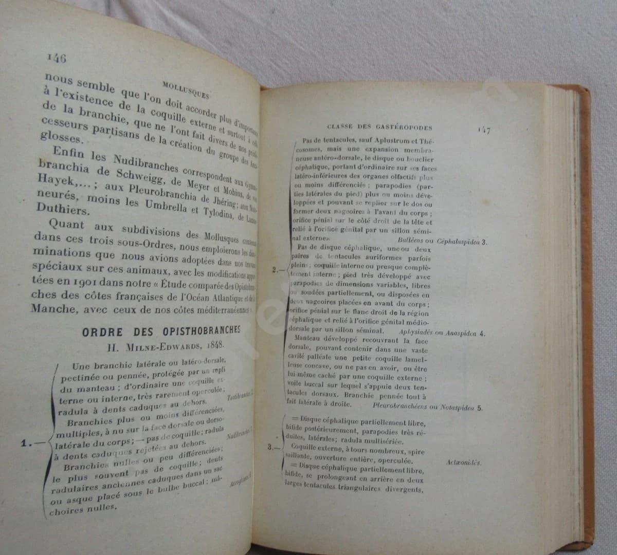 Mollusques de la France et des Régions Voisines - Image 4