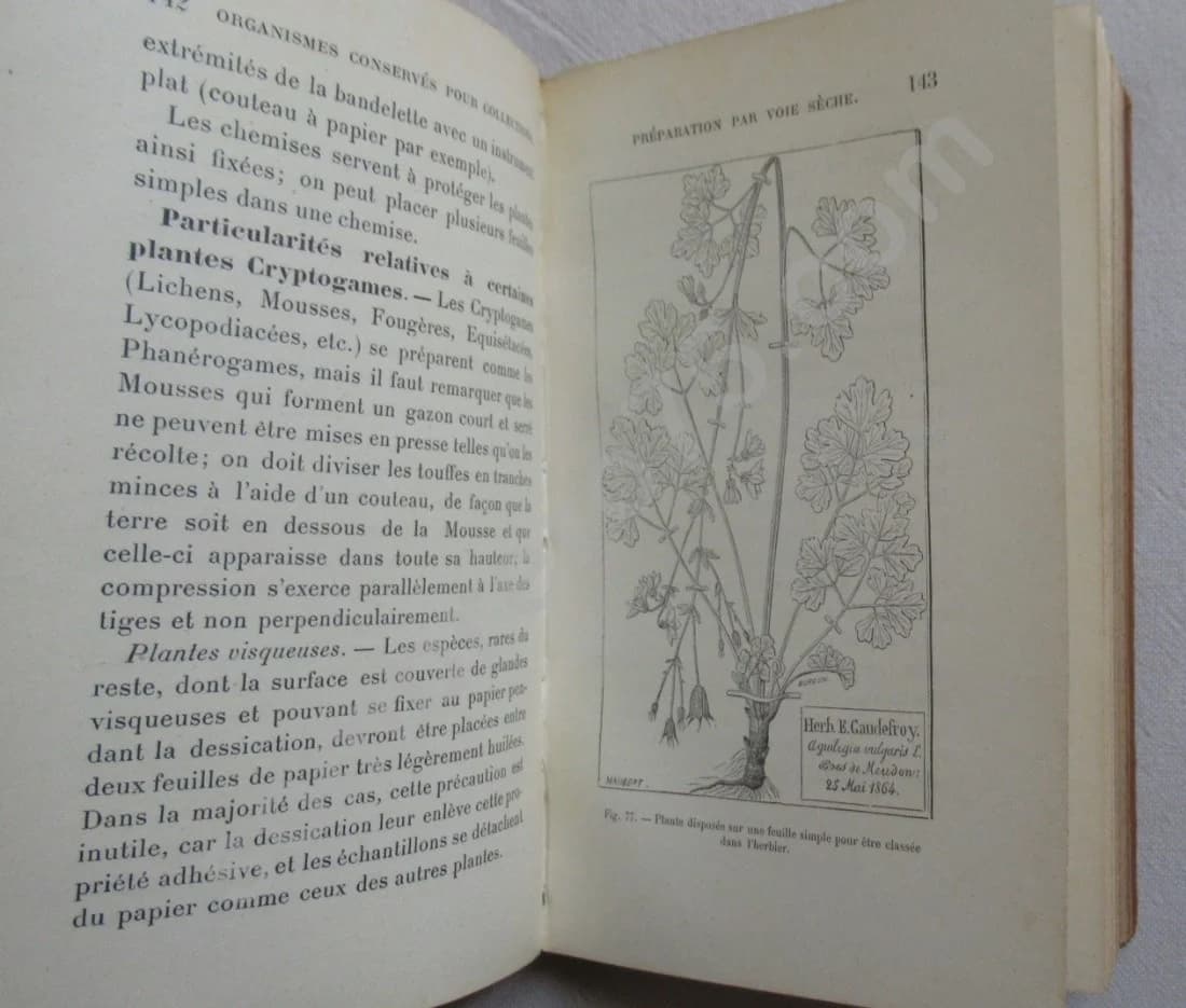 Guide du Naturaliste Préparateur. G. CAPUS 1903 - Image 6