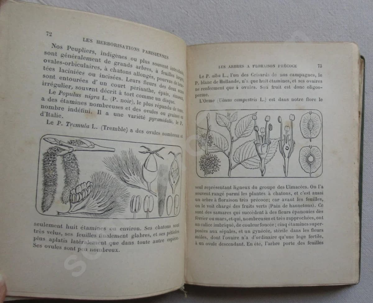 Les Herborisations Parisiennes.. 1890 - Image 4