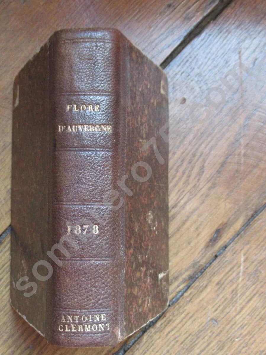 Clef Analytique de la Flore d'Auvergne -. 1873