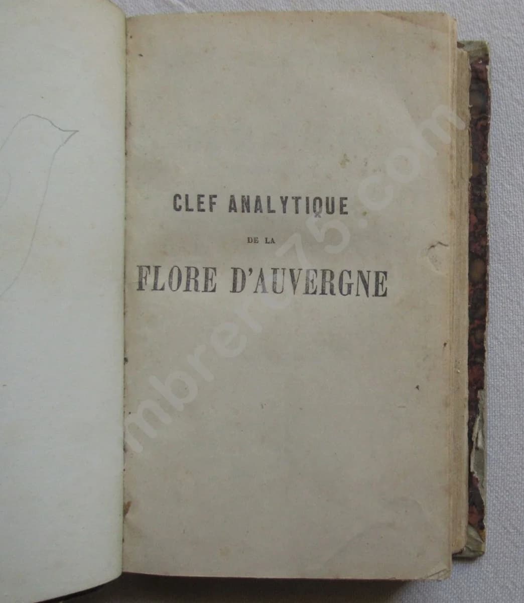 Clef Analytique de la Flore d'Auvergne -. 1873 - Image 3