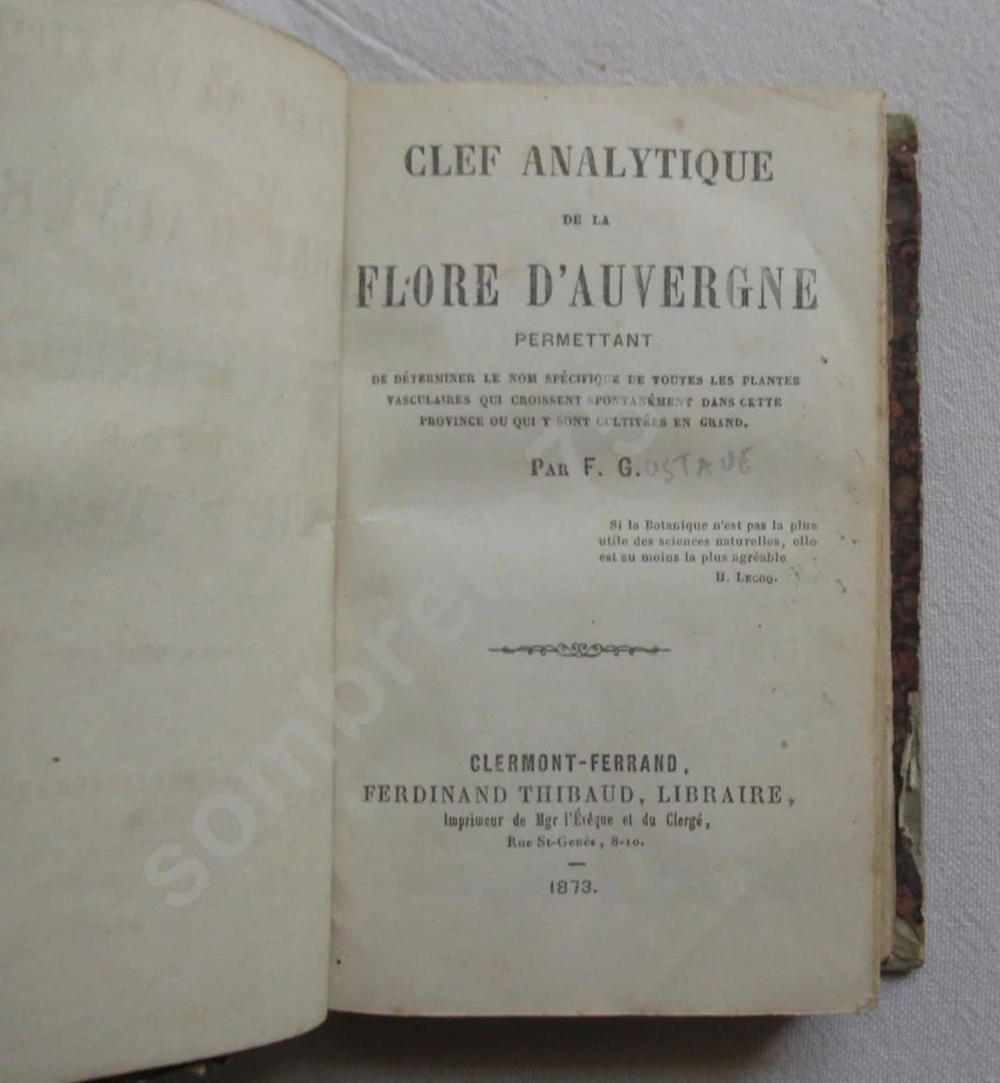 Clef Analytique de la Flore d'Auvergne -. 1873 - Image 4