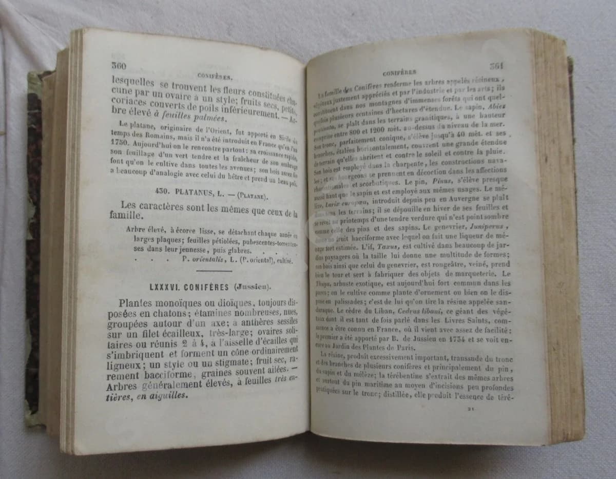 Clef Analytique de la Flore d'Auvergne -. 1873 - Image 5