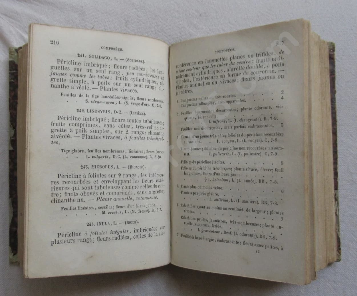 Clef Analytique de la Flore d'Auvergne -. 1873 - Image 6