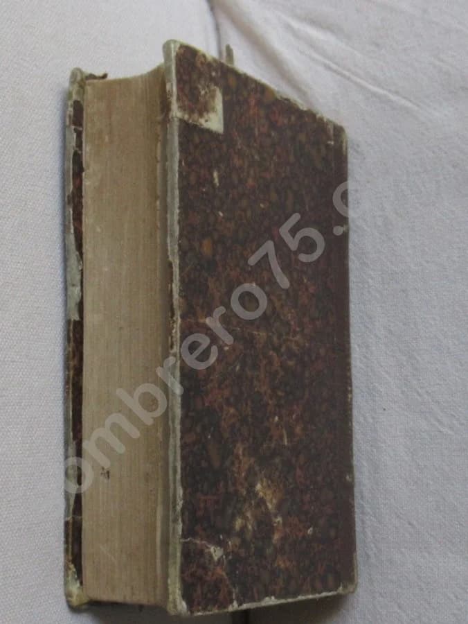 Clef Analytique de la Flore d'Auvergne -. 1873 - Image 7