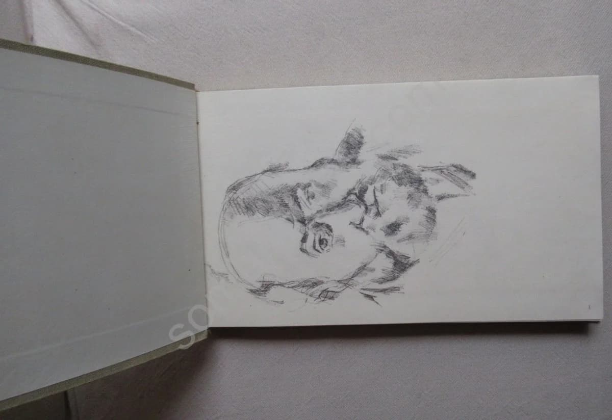 Paul Cézanne Carnets de Dessins. 2 vol - Image 4