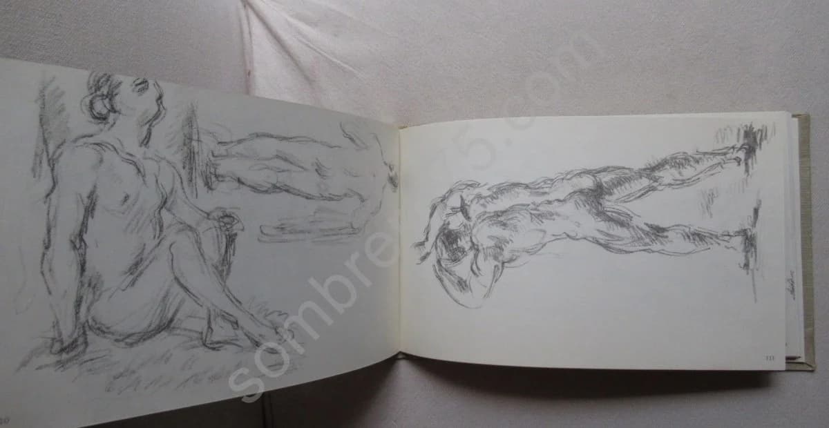Paul Cézanne Carnets de Dessins. 2 vol - Image 5