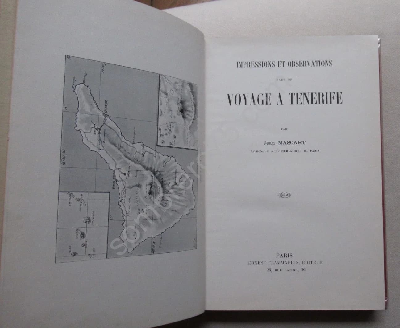 Impressions et Observations dans un Voyage à Tenerife - Image 3